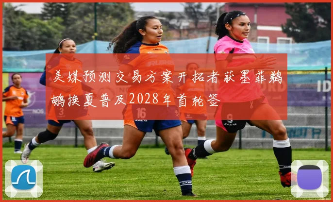 美媒预测交易方案开拓者获墨菲鹈鹕换夏普及2028年首轮签